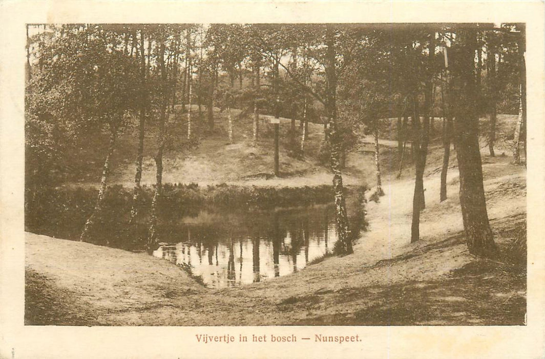 Nunspeet Vijvertje in het Bosch