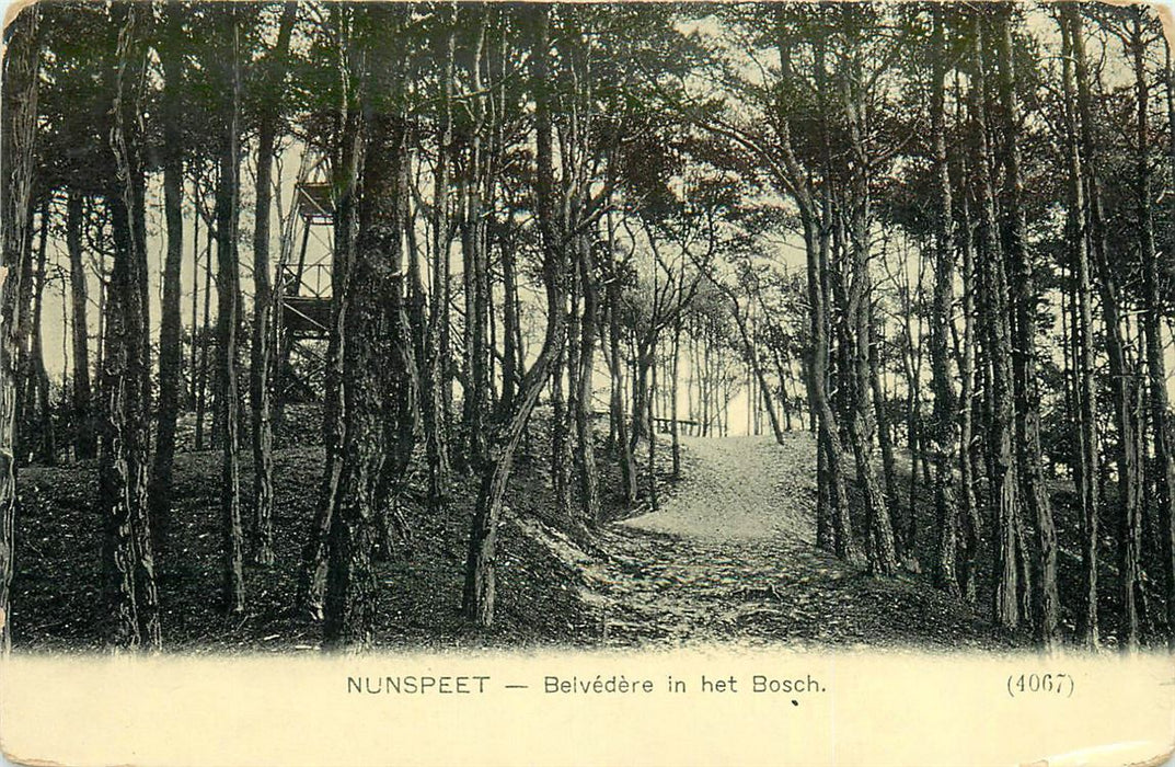 Nunspeet Belvedere in het Bosch