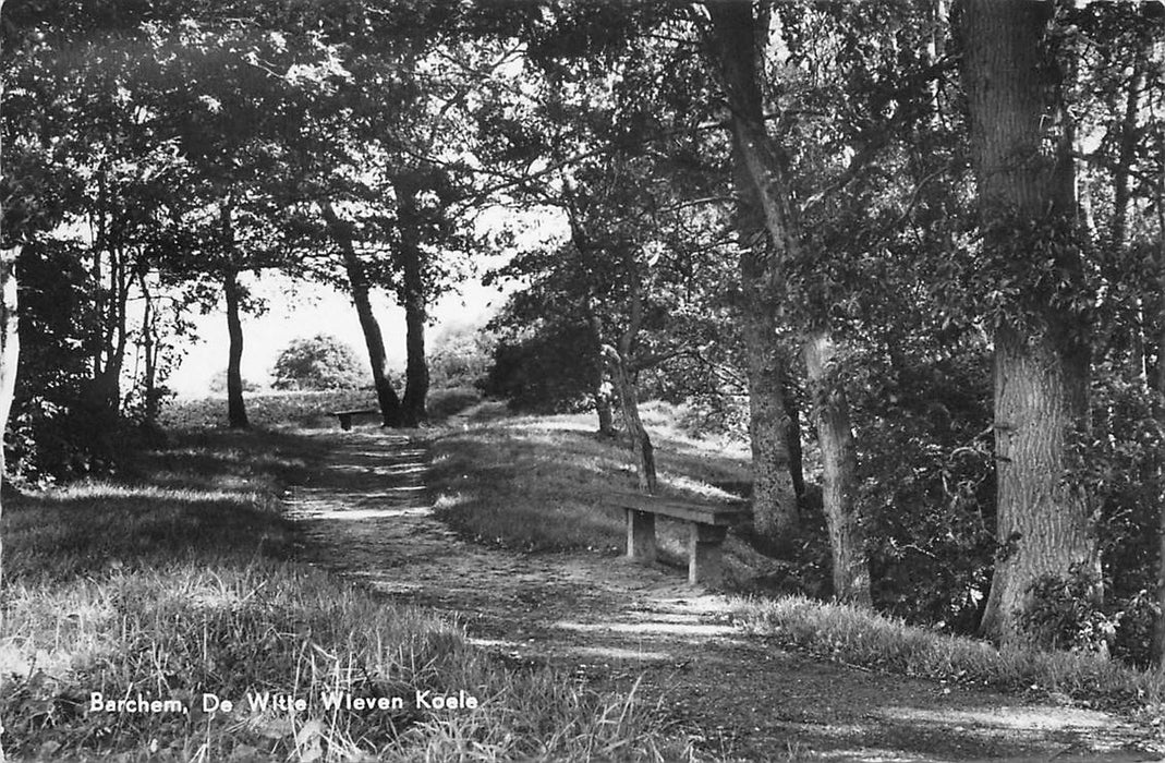 Barchem De Witte Wieven Koele