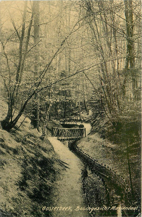 Oosterbeek Boschgezicht Mariendaal