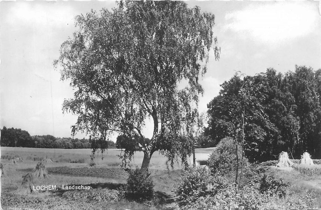 Lochem Landschap