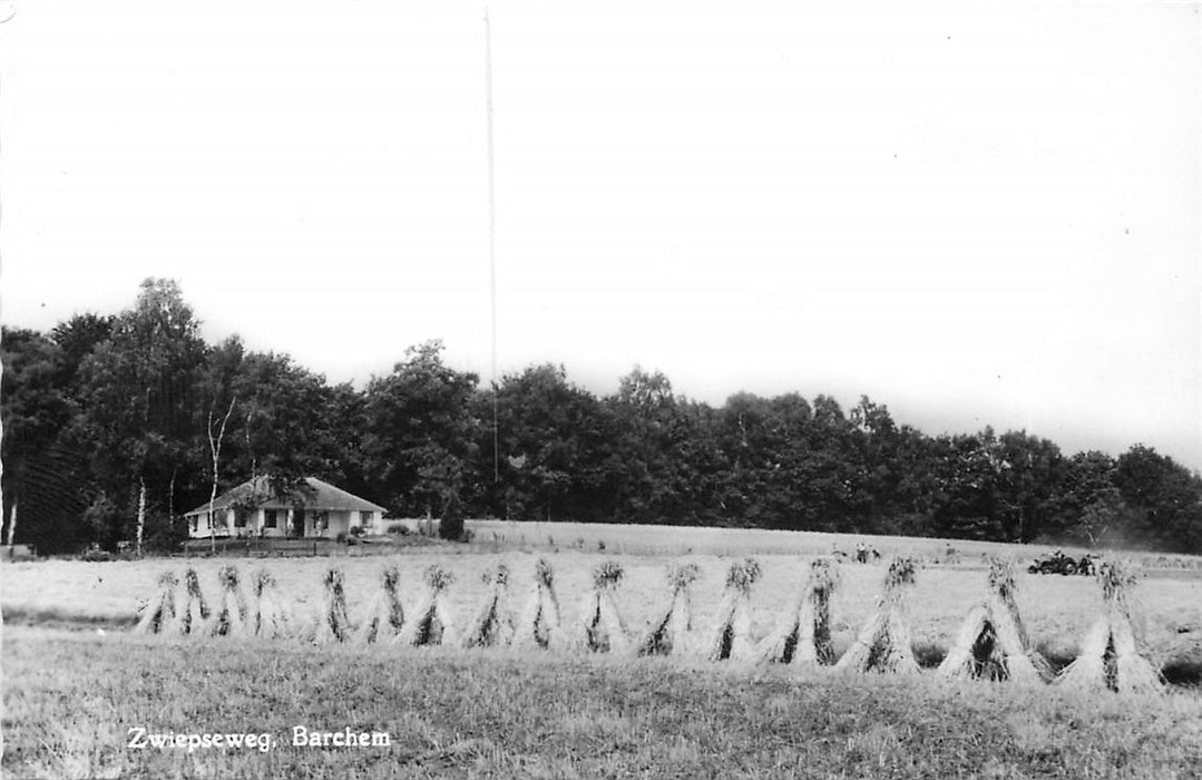 Barchem Zwiepseweg