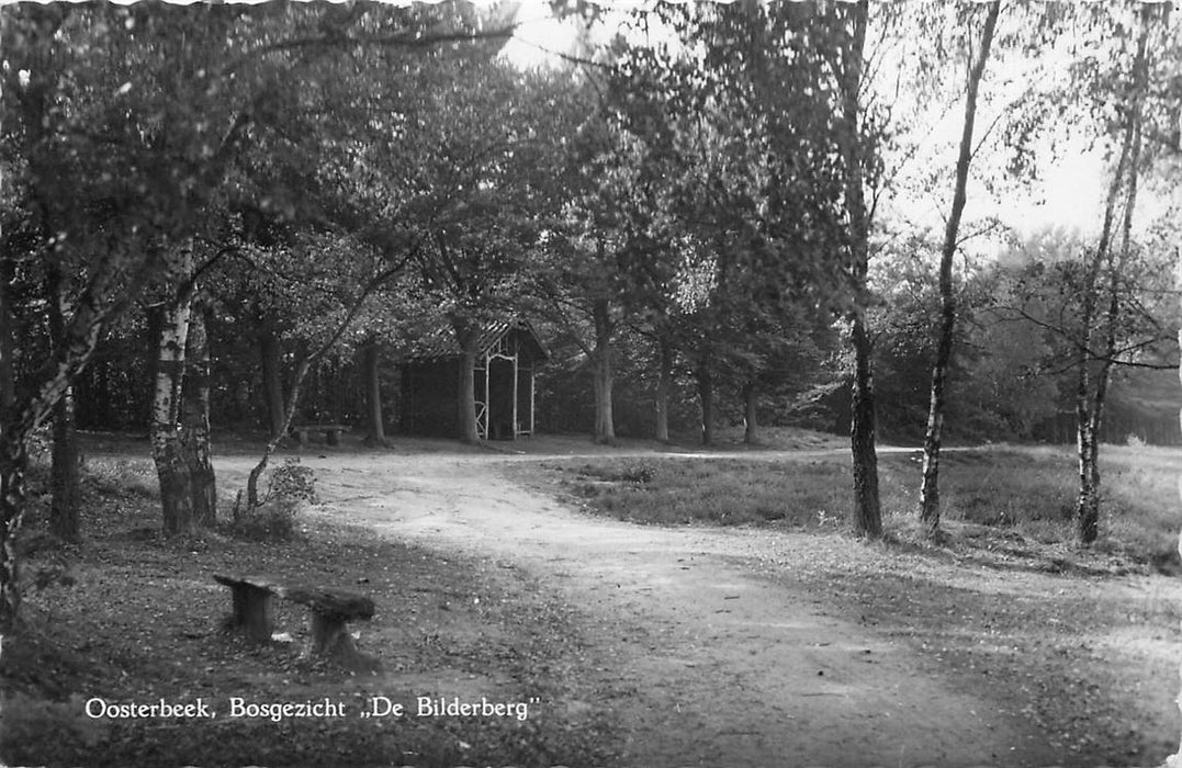 Oosterbeek Bosgezicht de Bilderberg