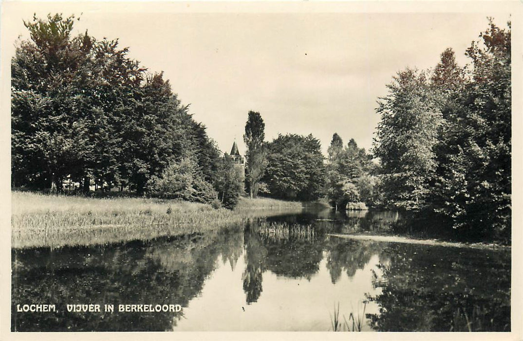 Lochem Vijver in Berkeloord