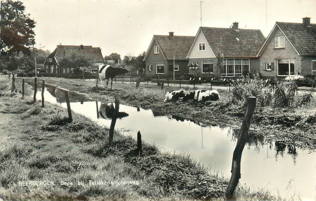 Beekbergen Beek bij Tullekensmolenweg