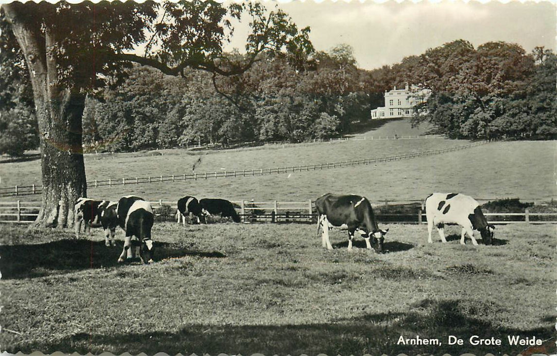 Arnhem De Grote Weide