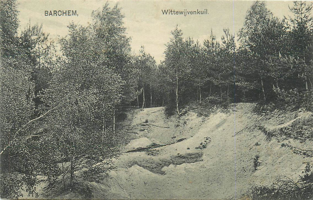 Barchem Wittewijvenkuil