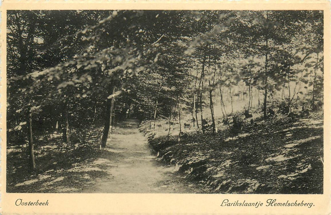 Oosterbeek Hemelscheberg