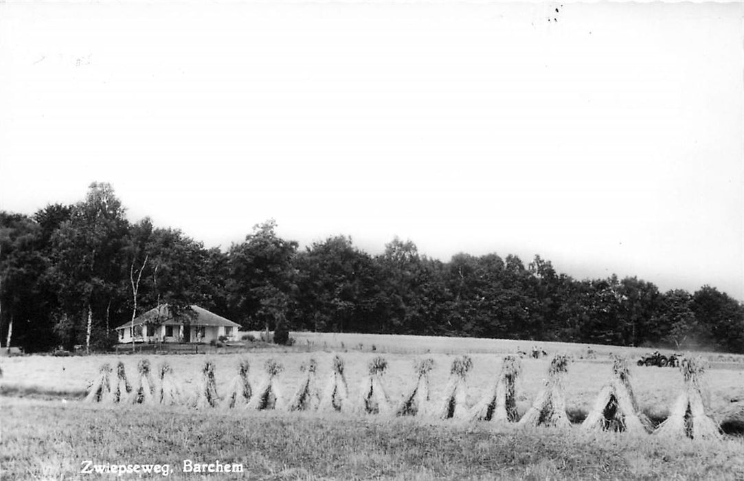 Barchem Zwiepseweg