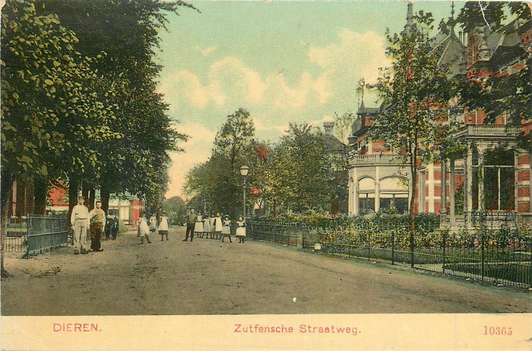 Dieren Zutfensche Straatweg