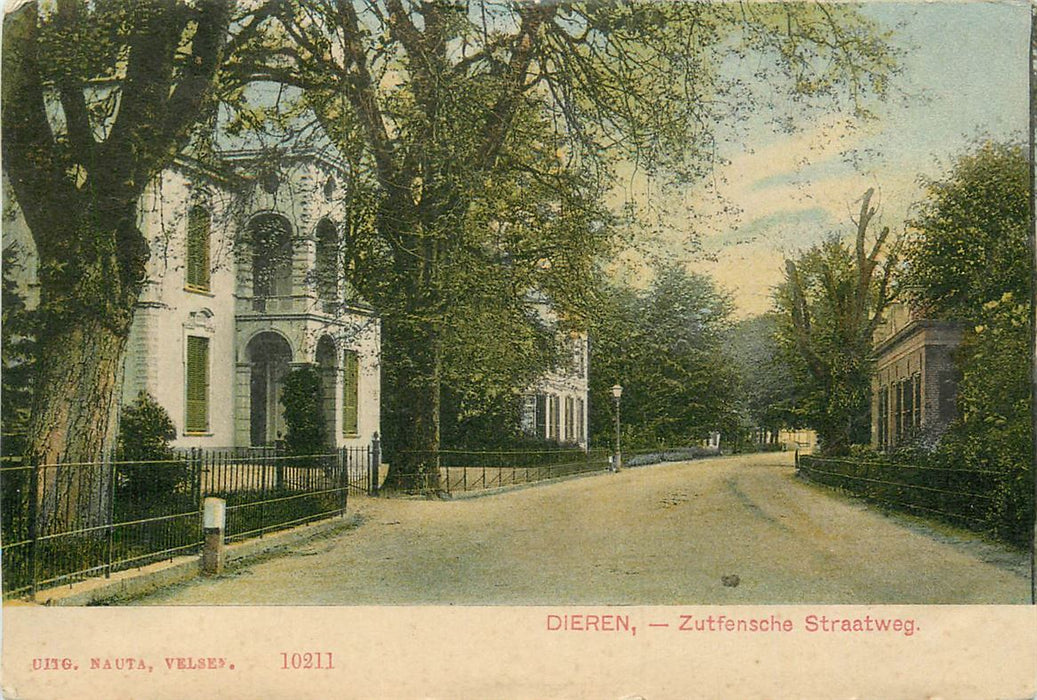 Dieren Zutfensche Straatweg