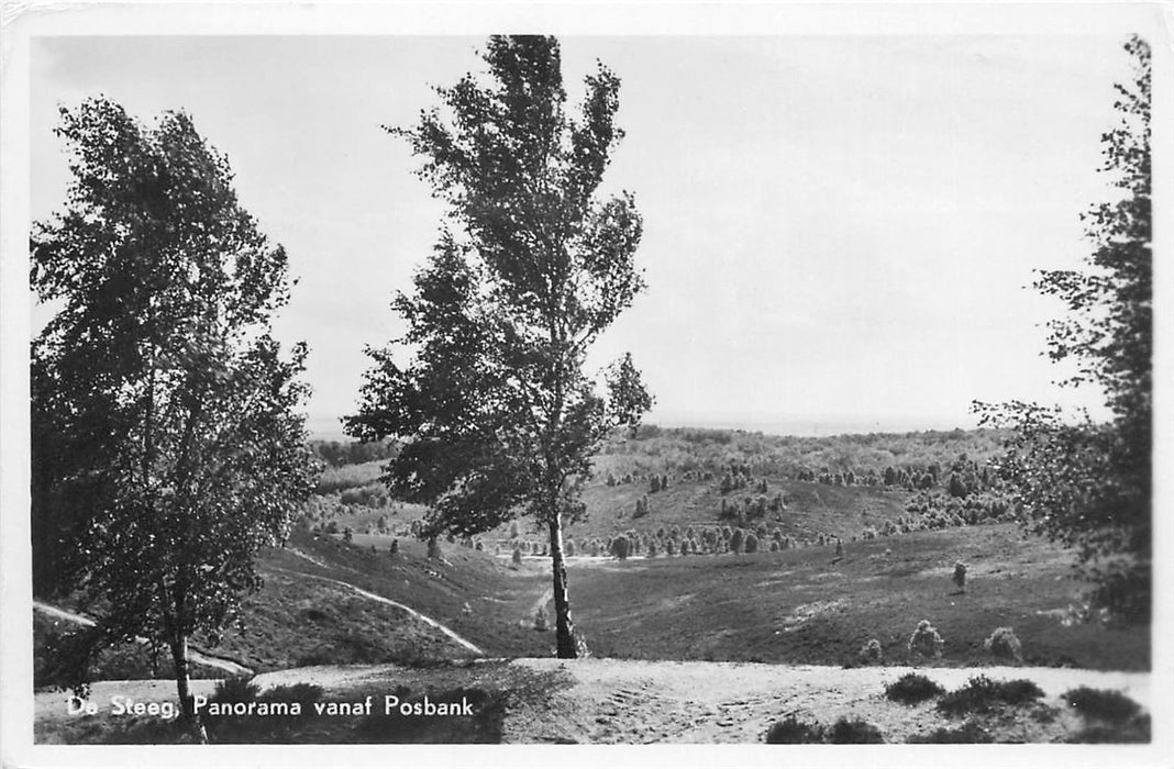 De Steeg Panorama vanaf Posbank