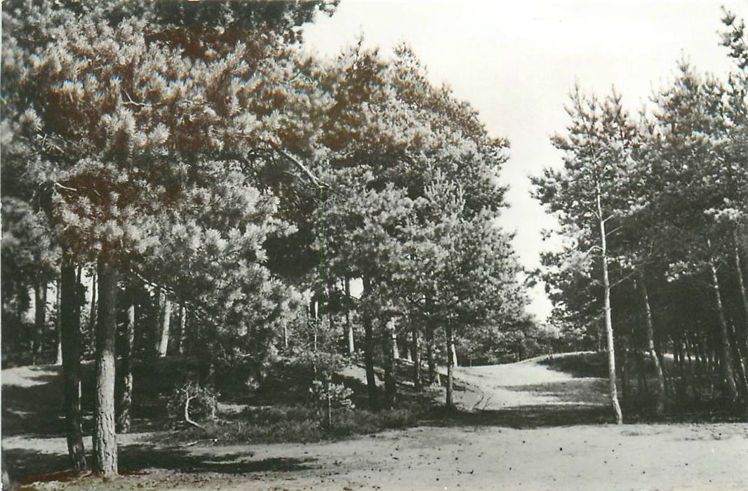 Ermelo In de Rimboe