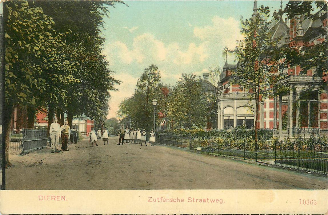 Dieren Zutfensche Straatweg