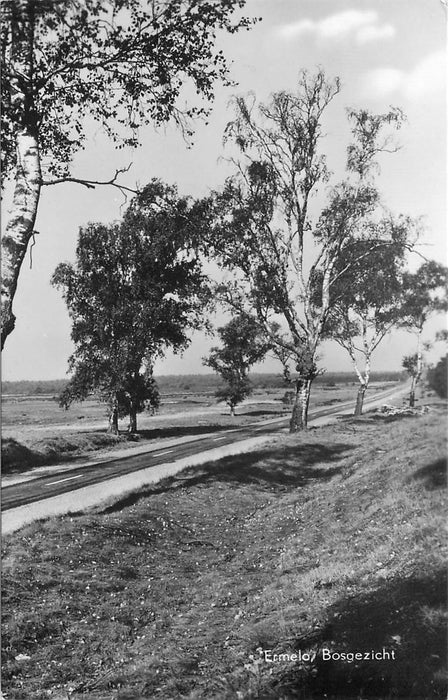 Ermelo Bosgezicht