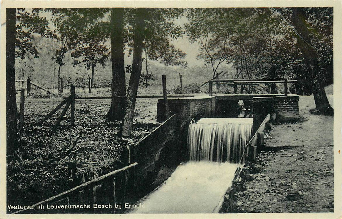 Ermelo Leuvenumsche Bosch