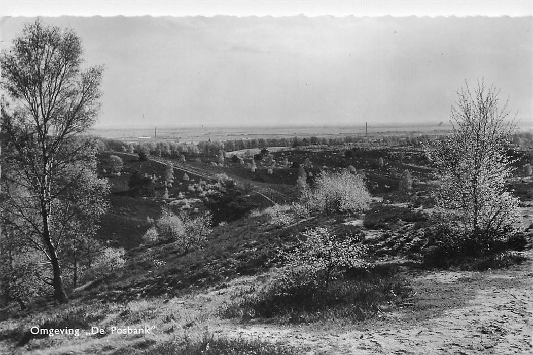 De Steeg Omgeving De Posbank