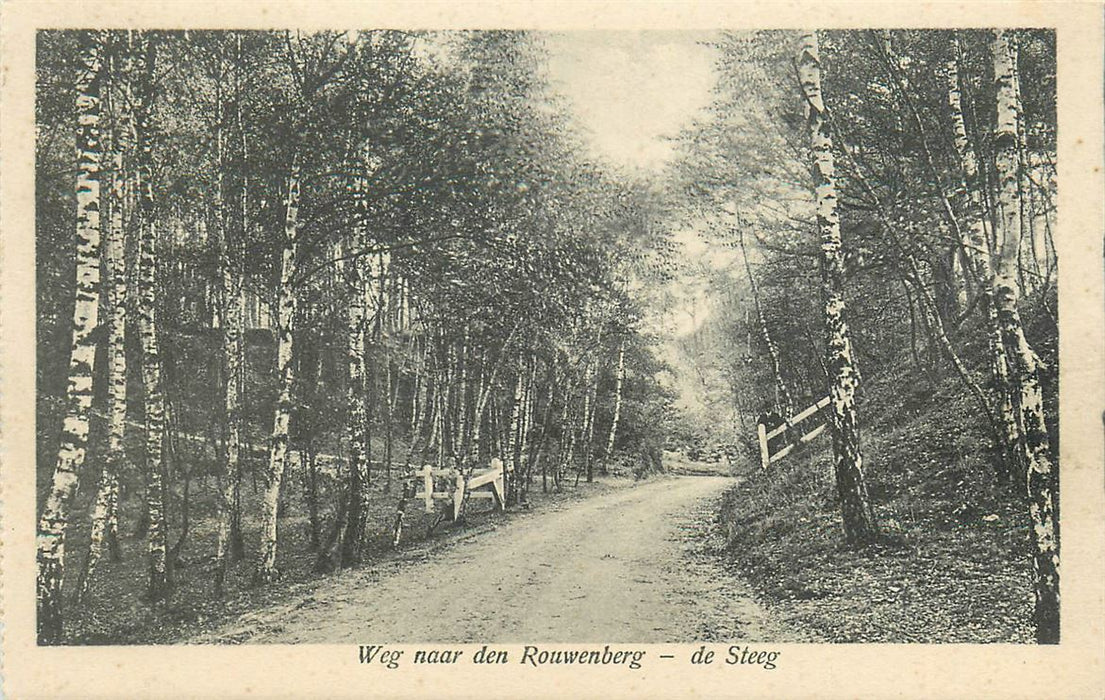 De Steeg Weg naar den Rouwenberg