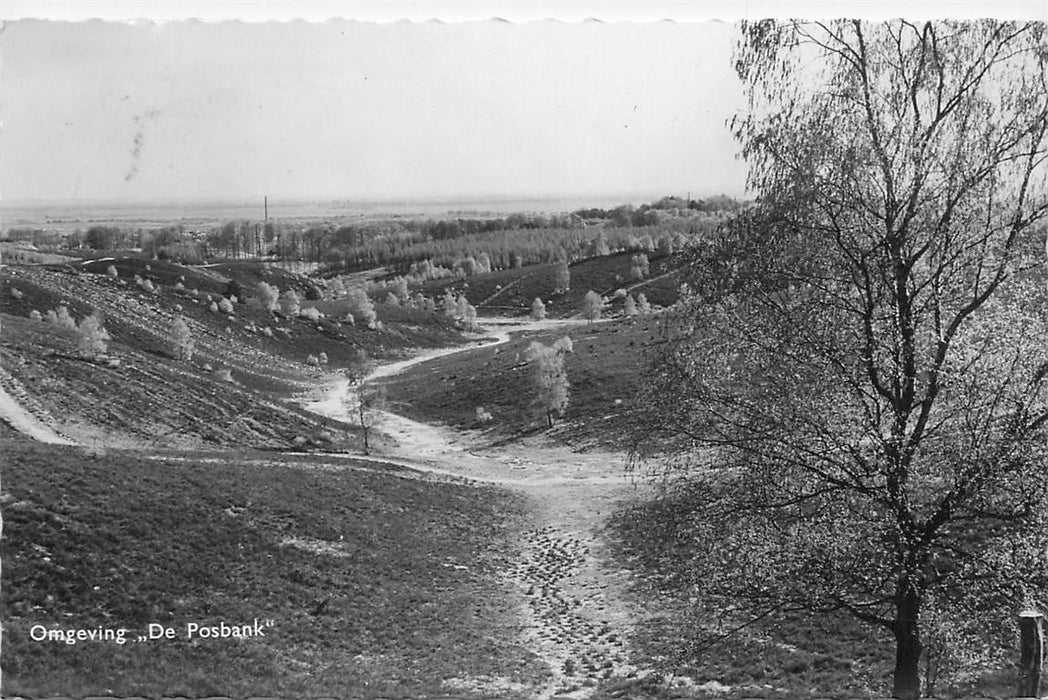 De Steeg Omgeving De Posbank