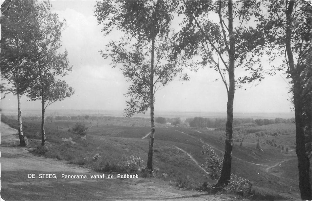 De Steeg Panorama vanaf de Posbank