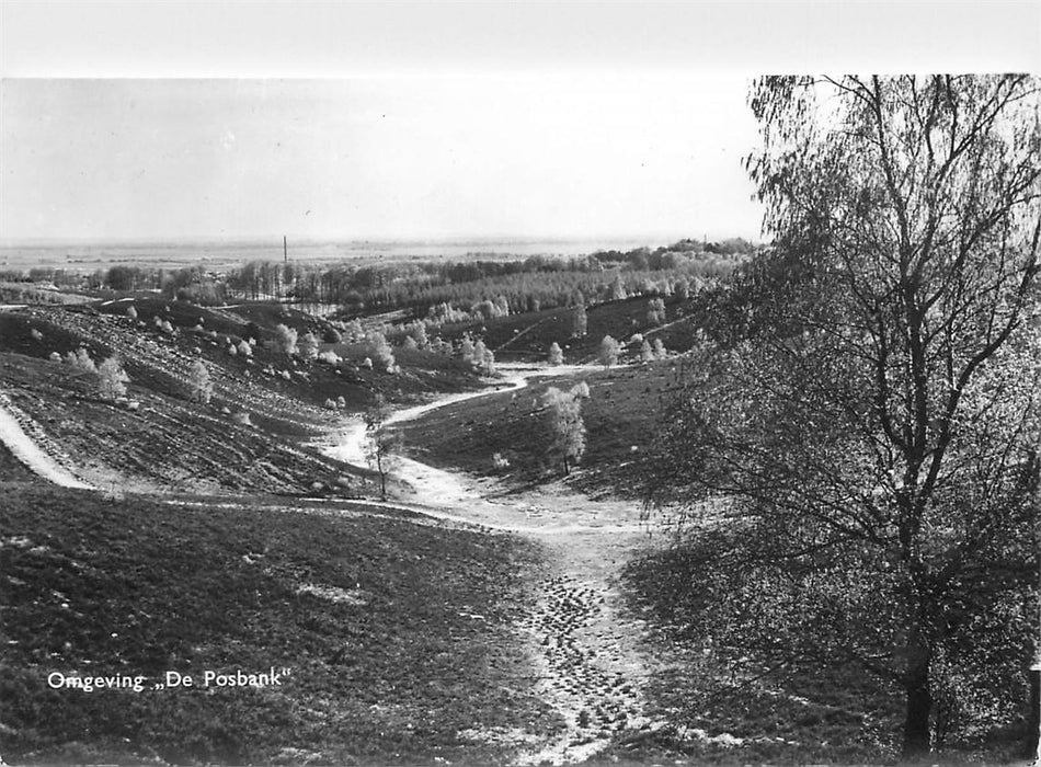 De Steeg Omgeving De Posbank