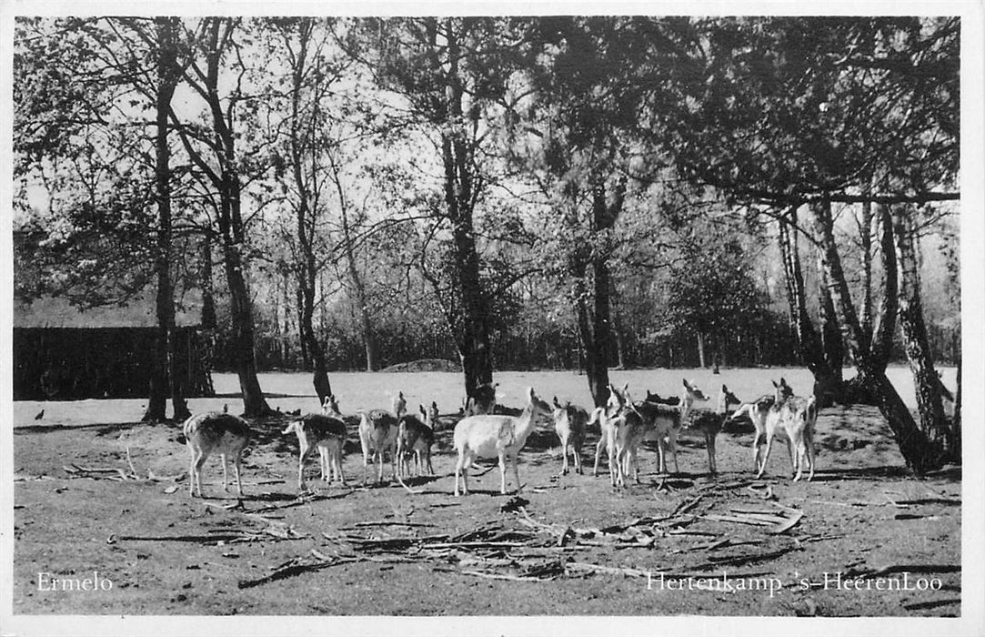 Ermelo Hertenkamp