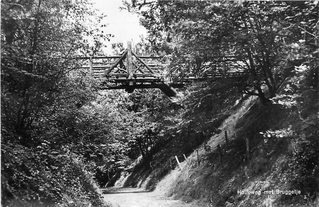 De Steeg Holleweg met bruggetje