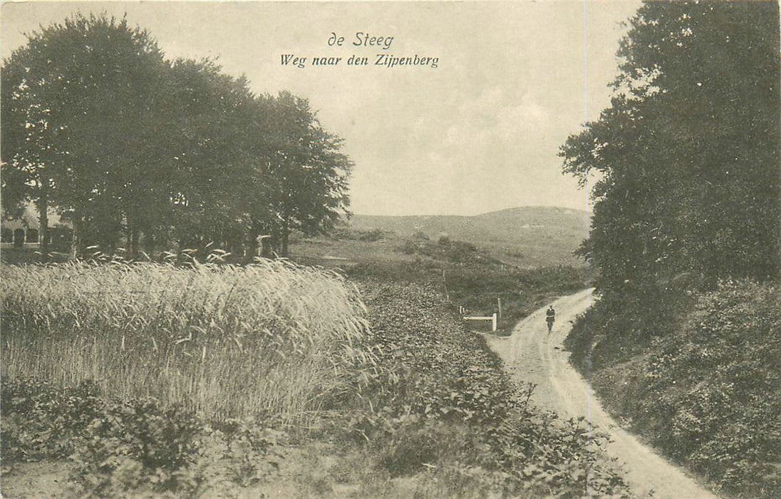 De Steeg weg naar den Zijpenberg