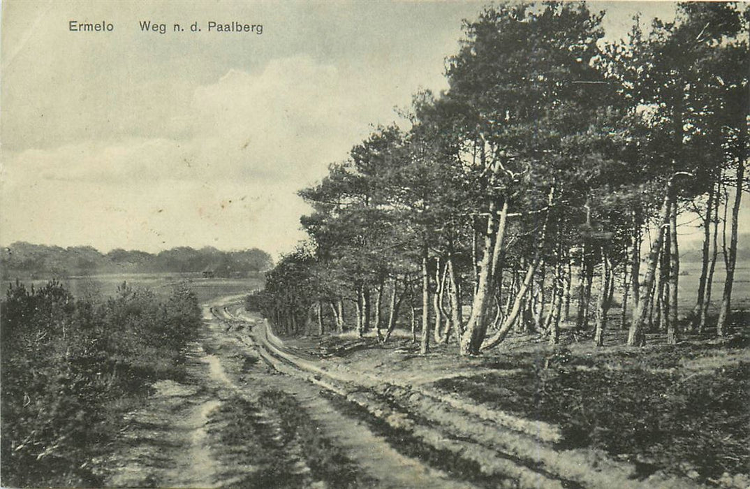 Ermelo Weg nd Paalberg