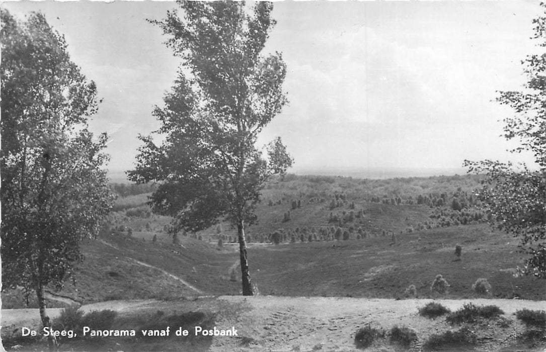 De Steeg Panorama vanaf de Posbank