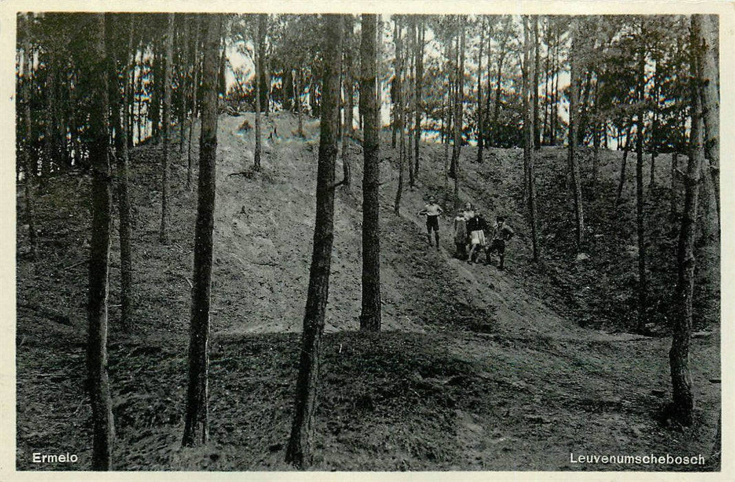 Ermelo Leuvenumsche Bosch