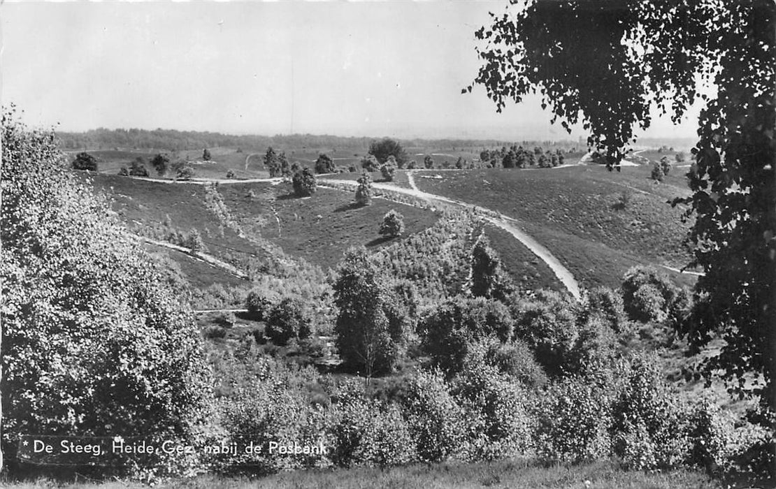 De Steeg Heide