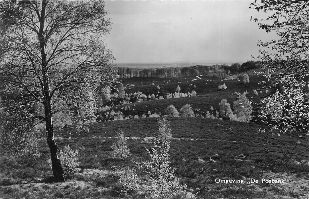 De Steeg Omgeving De Posbank