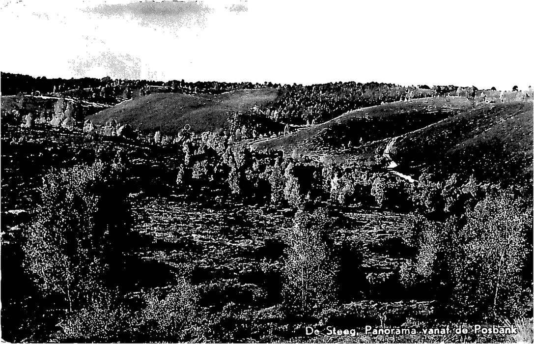 De Steeg Panorama vanaf de Posbank