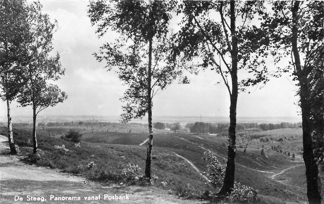 De Steeg Panorama vanaf Posbank