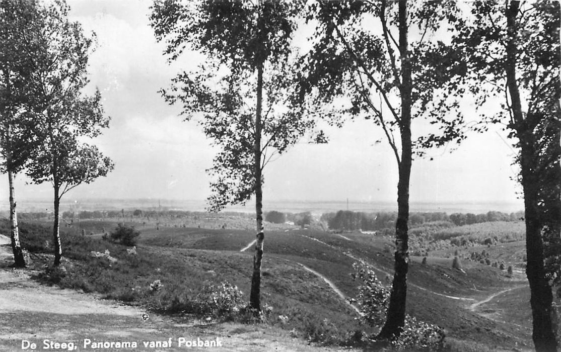 De Steeg Panorama vanaf Posbank