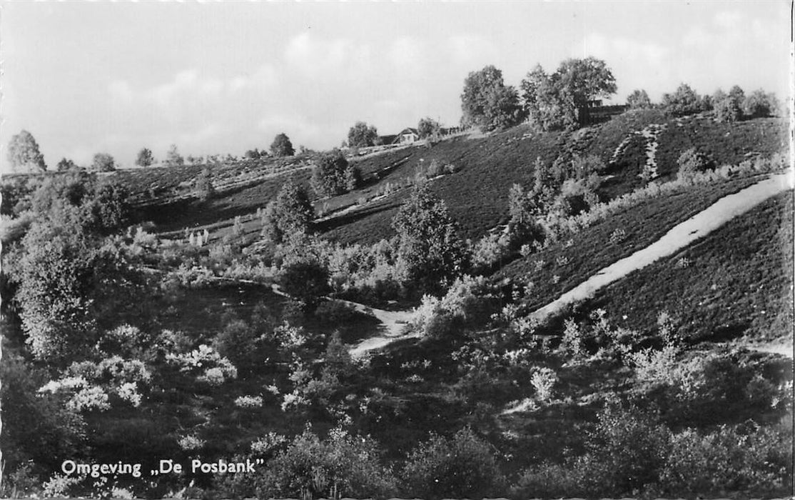 De Steeg Omgeving De Posbank