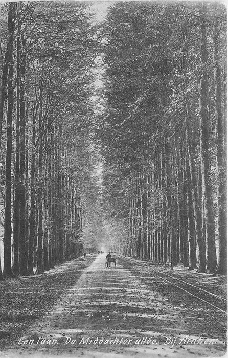 Arnhem Middachter Allee laan