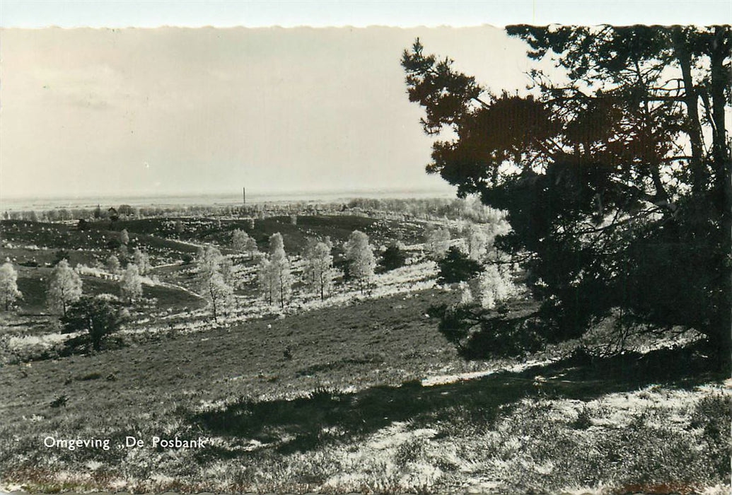 De Steeg Omgeving De Posbank