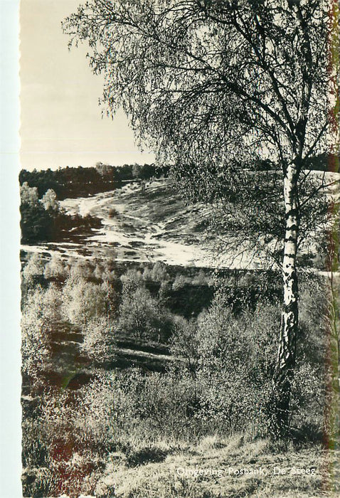 De Steeg Omgeving De Posbank