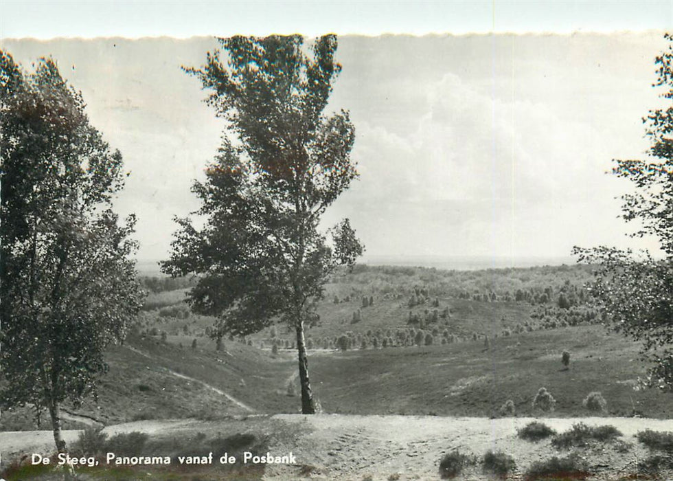 De Steeg Panorama vanaf de Posbank