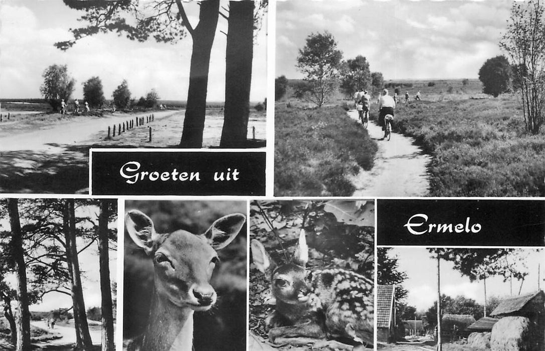 Ermelo Groeten uit