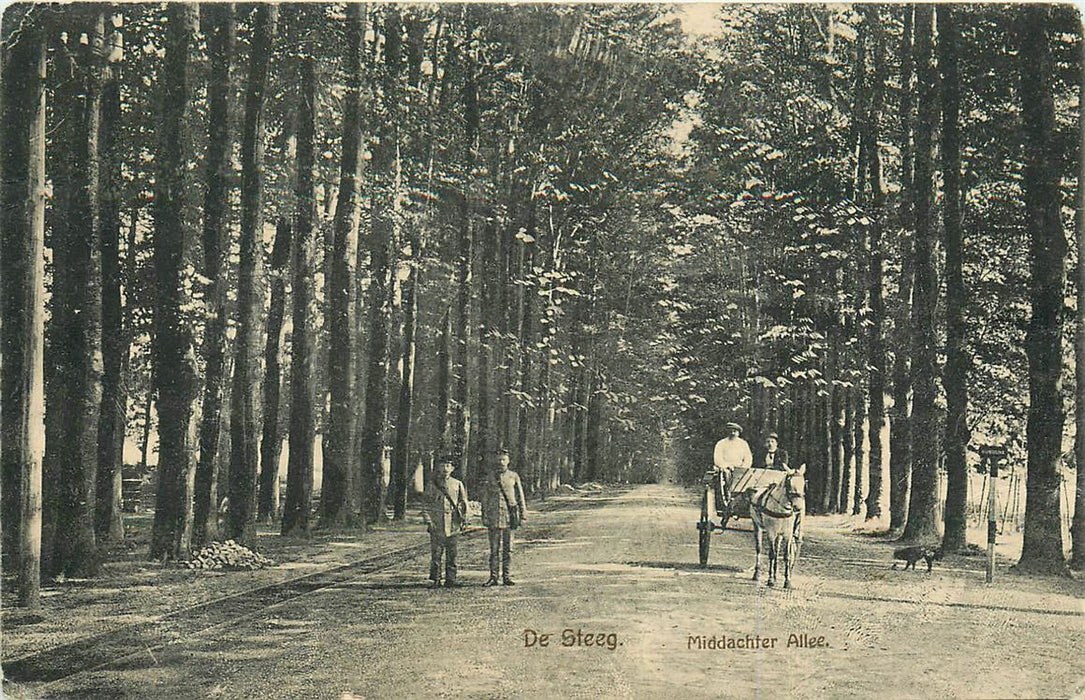 De Steeg Middachter Allee