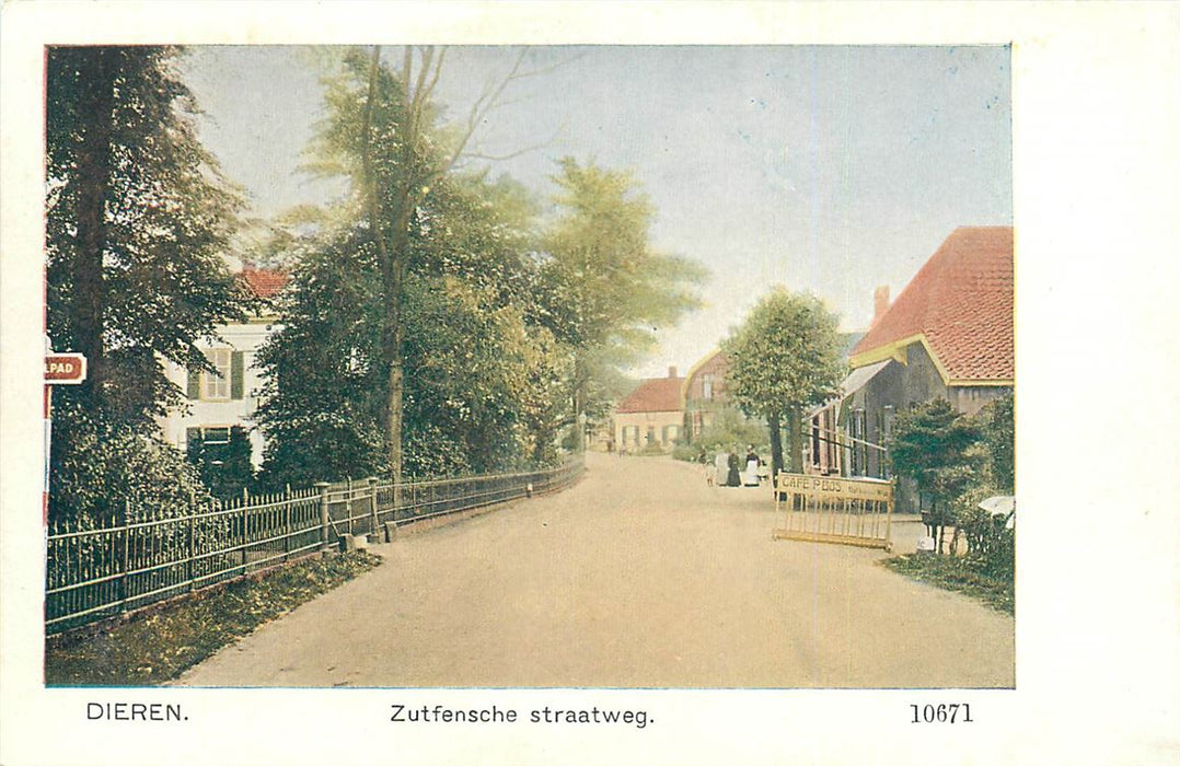 Dieren Zutfensche Straatweg