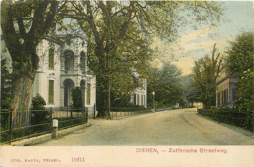 Dieren Zutfensche Straatweg