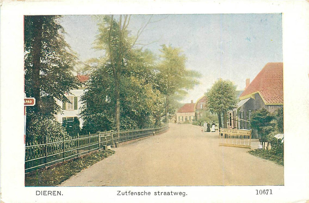 Dieren Zutfensche Straatweg