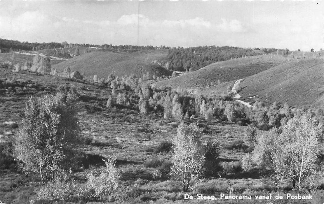 De Steeg Panorama vanaf de Posbank