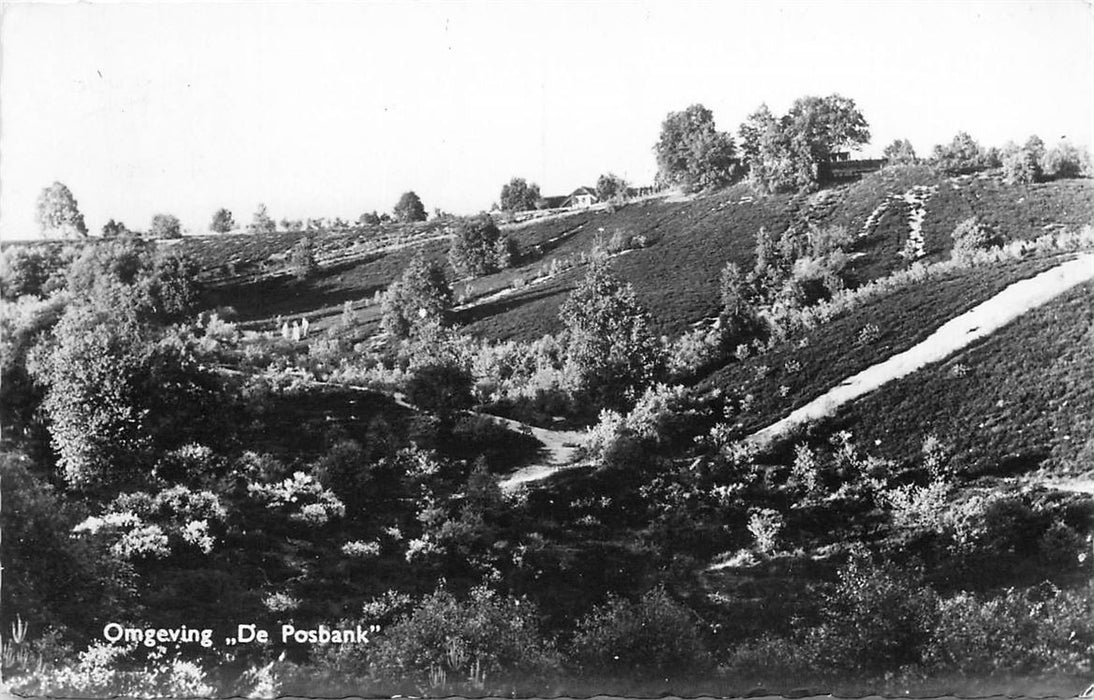 De Steeg Omgeving De Posbank