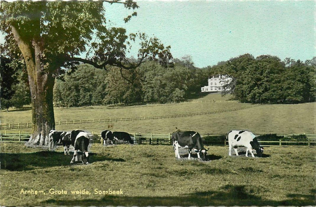 Arnhem Grote Weide Sonsbeek