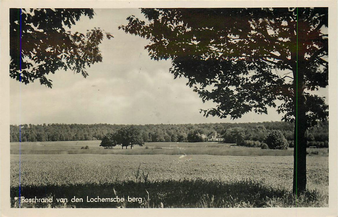 Lochem Boschrand van den Lochemsche berg